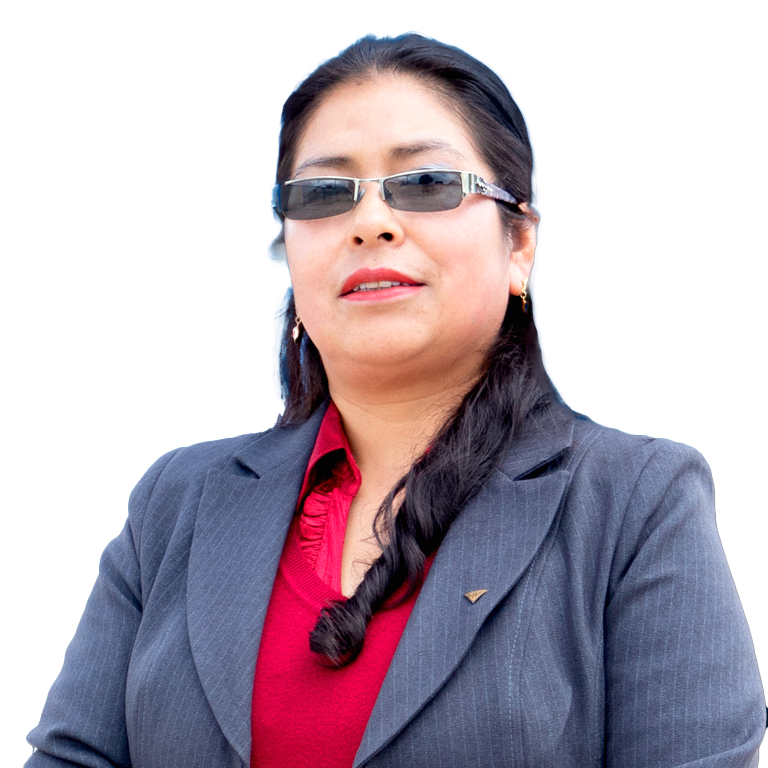 Mg. Ing. Nélida Larico Mendoza